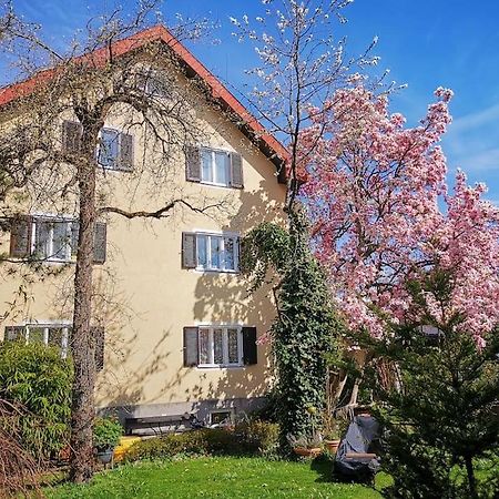 70Qm 3-Zimmer Apartment Am Tauernradweg In Hallein Bei Salzburg, Nahe Berchtesgaden, Rossfeld, Kehlsteinhaus, Obersalzberg, Watzmann, Schoenau Am Koenigsee, Bad Vigaun, Schloss Hellbrunn, Burg Hohen Salzburg, Burg Hohen Werfen # Beherbergungsbetrieb Kültér fotó