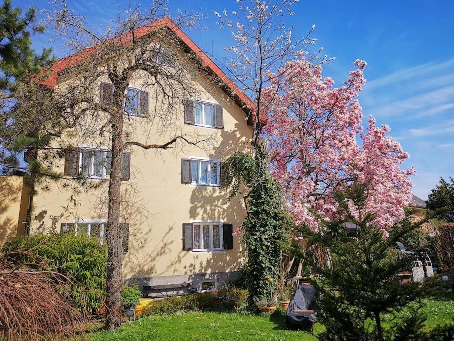 70Qm 3-Zimmer Apartment Am Tauernradweg In Hallein Bei Salzburg, Nahe Berchtesgaden, Rossfeld, Kehlsteinhaus, Obersalzberg, Watzmann, Schoenau Am Koenigsee, Bad Vigaun, Schloss Hellbrunn, Burg Hohen Salzburg, Burg Hohen Werfen # Beherbergungsbetrieb Kültér fotó